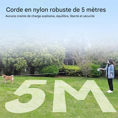 Rocky Laisse rétractable pour chien