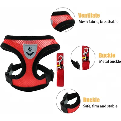 Zoomtopia Harnachement pour chien