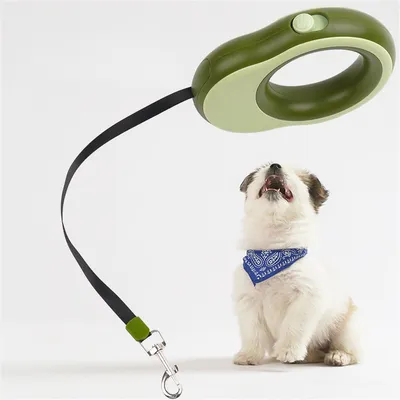 Rocky Cordon de traction pour chien
