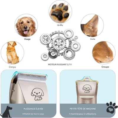 Pawzy Tondeuse pour animaux de compagnie