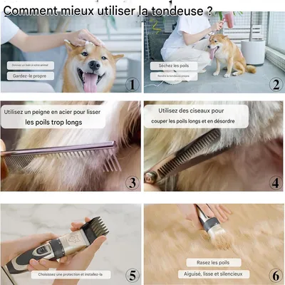 Pawzy Tondeuse pour animaux de compagnie