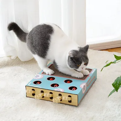 Rocky Carton grattoir 3 en 1 pour chat