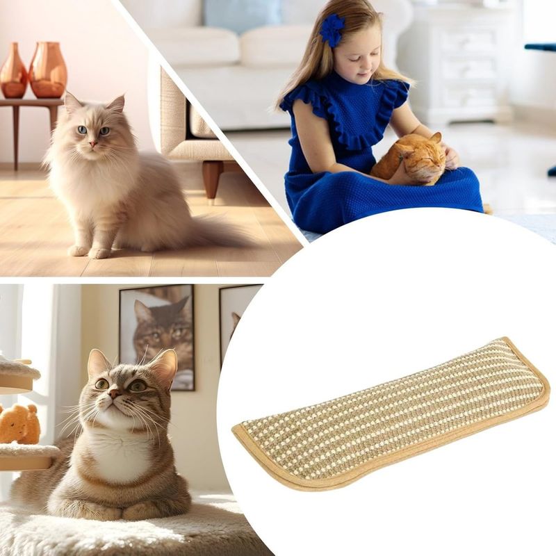 Rocky Paws  Jouets pour chats avec herbe à chat