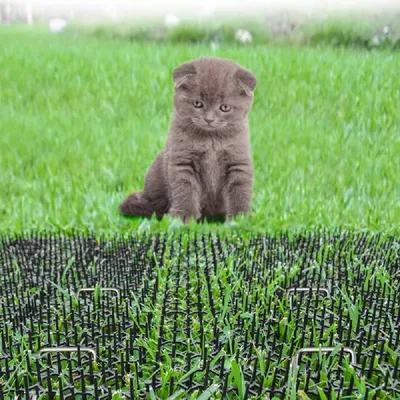 Zoomtopia Tapis de protection dissuasif pour animaux