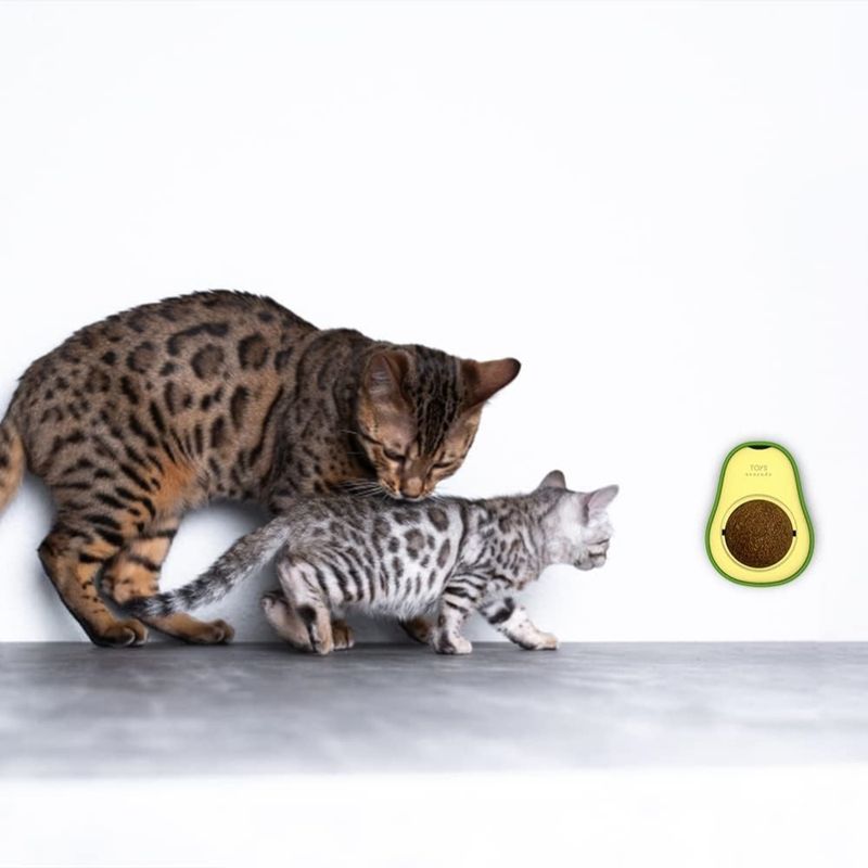Zoomtopia Jouet pour chat en forme d'avocat