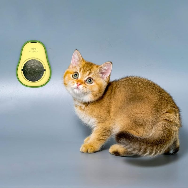 Zoomtopia Jouet pour chat en forme d'avocat