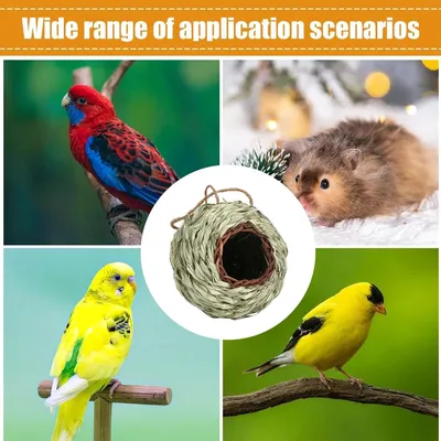 Zoomtopia Nid pour Oiseaux