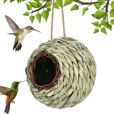 Zoomtopia Nid pour Oiseaux
