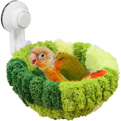 ZooVenture Nids pour oiseaux fenêtre avec ventouses pour perroquets