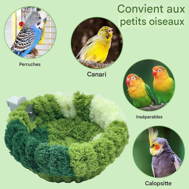 ZooVenture Nids pour oiseaux fenêtre avec ventouses pour perroquets
