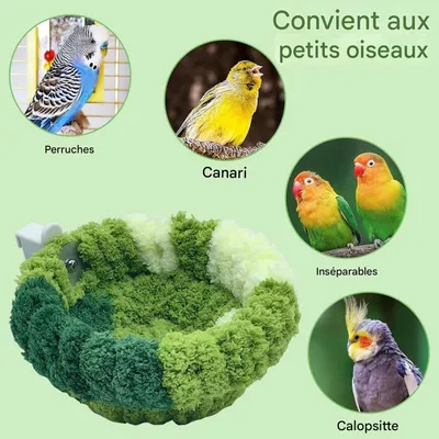 ZooVenture Nids pour oiseaux fenêtre avec ventouses pour perroquets