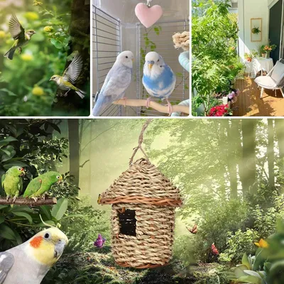 Zoomtopia Nid pour Oiseaux