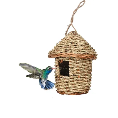 Zoomtopia Nid pour Oiseaux