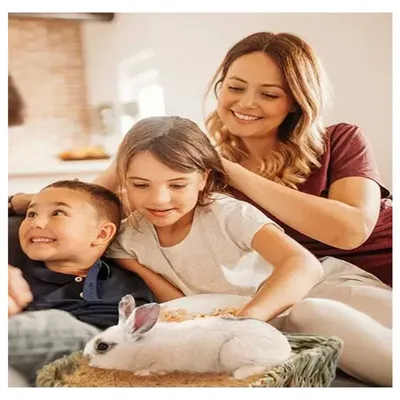 Rocky Matériau de nidification en fibres de coco pour oiseaux