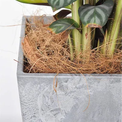 Rocky Matériau de nidification en fibres de coco pour oiseaux