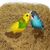Rocky Matériau de nidification en fibres de coco pour oiseaux