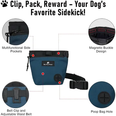 Zoomtopia Sac de Dressage Professionnel