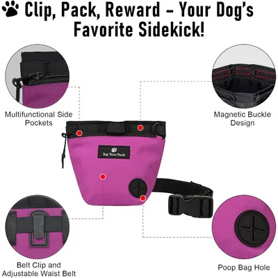 Zoomtopia Sac de Dressage Professionnel