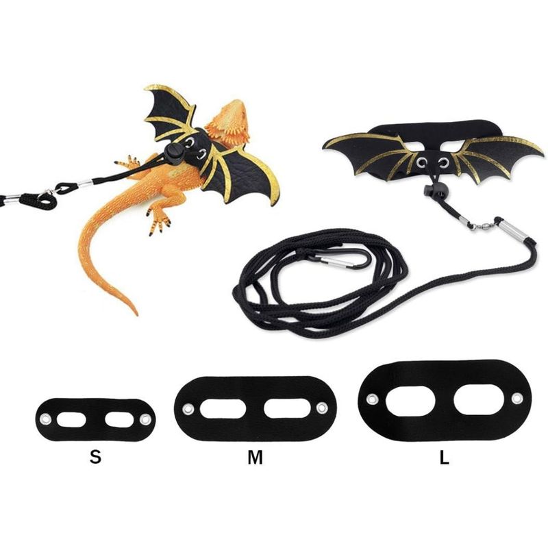 Zoomtopia Harnais pour dragon barbu