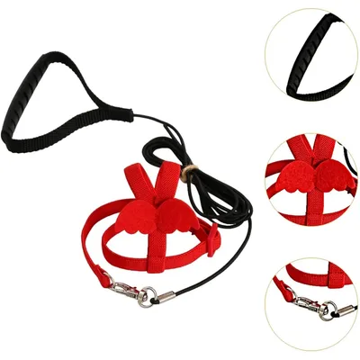 Zoomtopia Harnois - laisse pour oiseaux