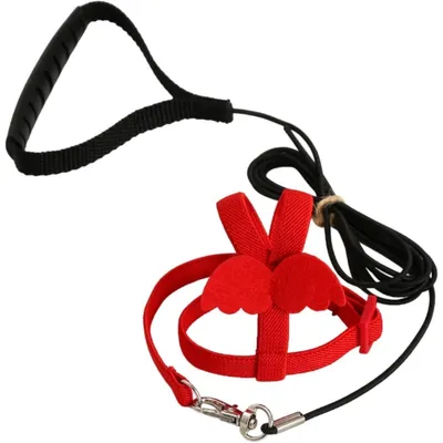 Zoomtopia Harnois - laisse pour oiseaux