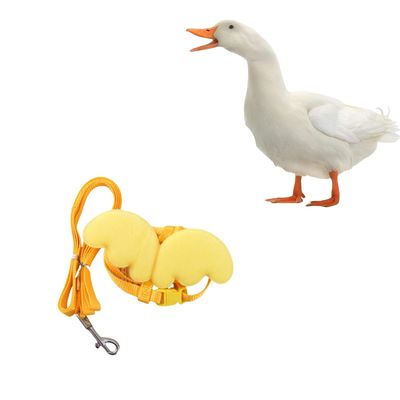 Zoomtopia Harnais canard colorés