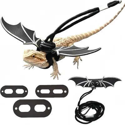 Zoomtopia Harnais pour dragon barbu