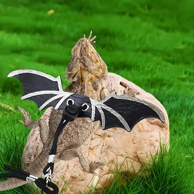 Zoomtopia Harnais pour dragon barbu