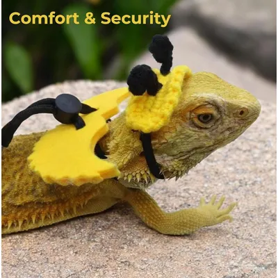 Zoomtopia Laisse pour reptile compacte et pratique