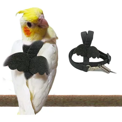 Zoomtopia Harnois - laisse pour oiseaux