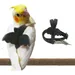 Zoomtopia Harnois - laisse pour oiseaux