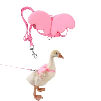 Zoomtopia Harnais canard colorés