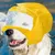 Zoomtopia Bonnet de bain pour animaux