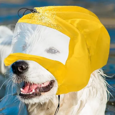 Zoomtopia Bonnet de bain pour animaux