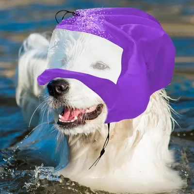 Zoomtopia Bonnet de bain pour animaux