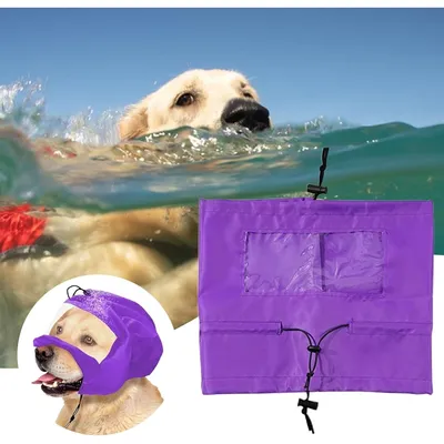 Zoomtopia Bonnet de bain pour animaux