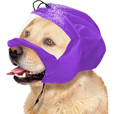 Zoomtopia Bonnet de bain pour animaux