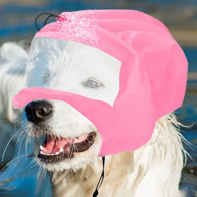 Zoomtopia Bonnet de bain pour animaux