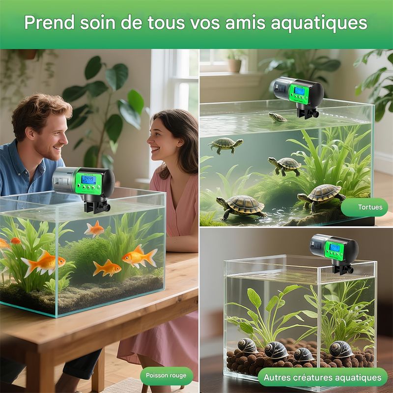 Rocky Distributeur automatique d'aliments pour aquarium