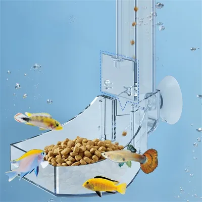 Rocky Distributeur d'aliments en acrylique pour aquarium