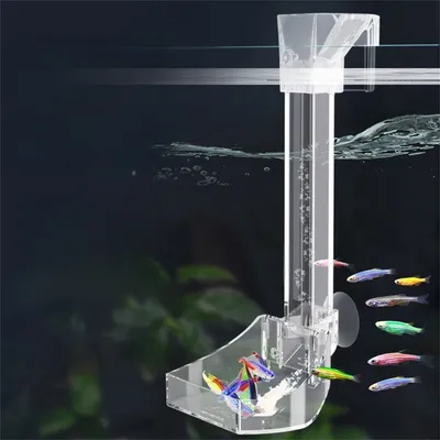 Rocky Distributeur d'aliments en acrylique pour aquarium