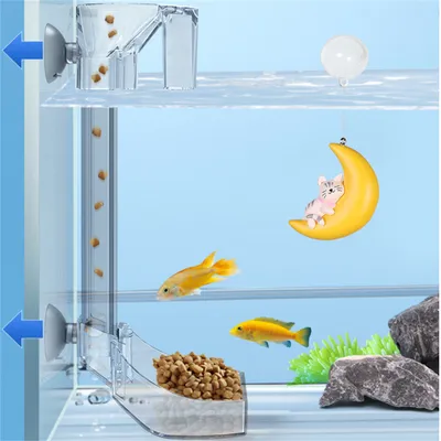 Rocky Distributeur d'aliments en acrylique pour aquarium