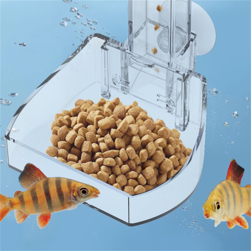 Rocky Distributeur d'aliments en acrylique pour aquarium