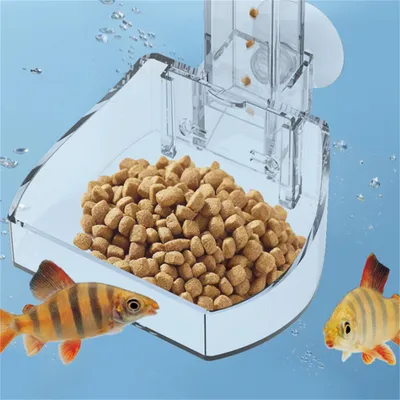 Rocky Distributeur d'aliments en acrylique pour aquarium