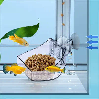 Rocky Distributeur d'aliments en acrylique pour aquarium