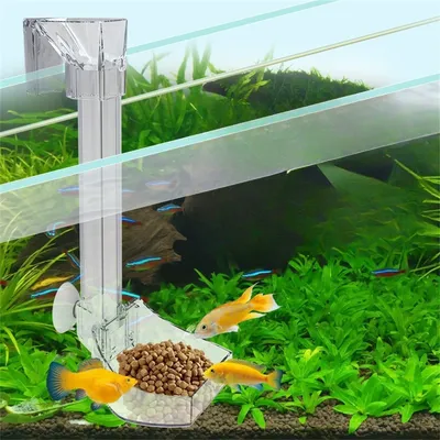 Rocky Distributeur d'aliments en acrylique pour aquarium