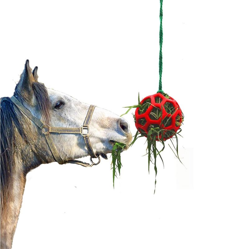 Zoomtopia Jeu alimentaire interactif pour animaux