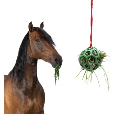 Zoomtopia Jeu alimentaire interactif pour animaux Zoomtopia Jeu alimentaire interactif pour animaux