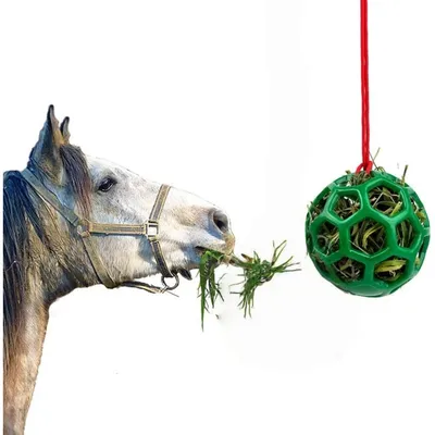 Zoomtopia Jeu alimentaire interactif pour animaux