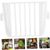 ZooVenture Set de 4 support alimentaire suspendus pour oiseaux
